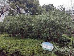 -兰溪青年公园
