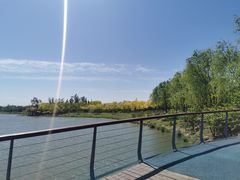 -东郊湿地公园