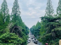 -明故宫遗址公园