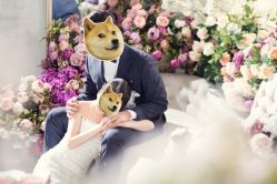 -韩国艺匠ARTIZ STUDIO(博览中心店)