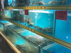-海贡平价海鲜超市