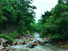 -广州白江湖森林公园