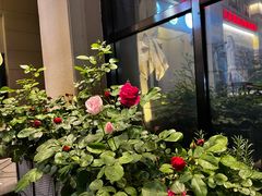 -申德勒加油站西餐厅(太仓店)