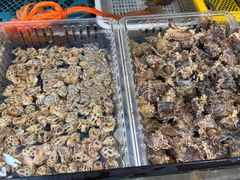 -坛南湾阿强农家乐.海鲜大排档老字号(福州地标美食店)