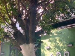 -ADO KAFE(大学城店)
