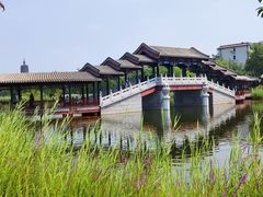 -西海子公园