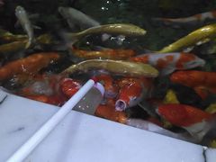 -白沙门生态公园