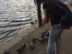 -海德公园
