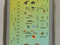 -中国地质大学逸夫博物馆