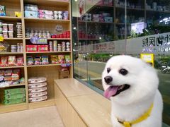 -芭比堂动物医院·24小时·眼科中心(深圳中心)