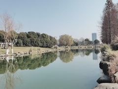 -九里河湿地公园