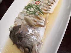清蒸大白鱼-松鹤楼(山塘街店)