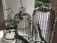 -香港观塘帝盛酒店