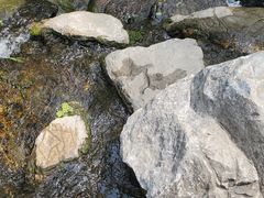-白水寺森林公园