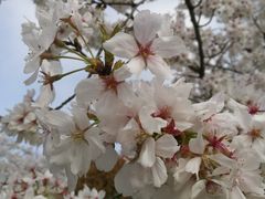 -堤角公园