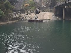 -长谷洞天