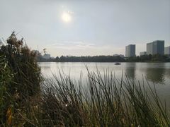 -美兰湖景区
