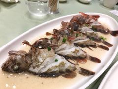 -高佳庄·舟山海鲜(海景旗舰店)