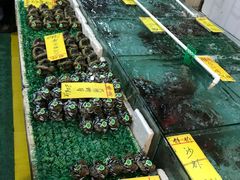 -鸿达渔港