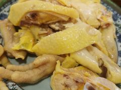 -九斤黄三黄鸡专卖店