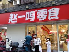 -赵一鸣零食(江苏南京福园街店)