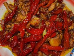 -柴窝堡22号辣子鸡·传承新疆菜