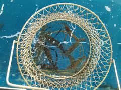 -SHRIMP CLUB万东餐饮钓虾·清吧