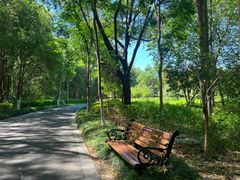 -昆山城市生态森林公园