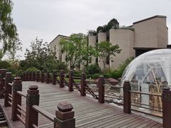 -上海崇明金茂凯悦酒店