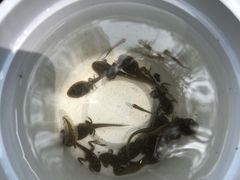 -碓臼峪自然风景区