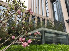 -美盛喜来登大酒店-盛宴标帜餐厅