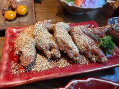 -鸟屯(三里屯店)