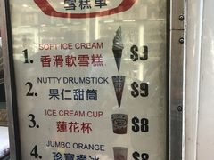 -富豪雪糕车流动点(尖沙咀店)