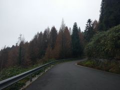 -山王坪喀斯特国家生态公园