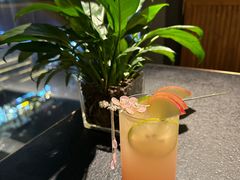 -唐猫庭院·千年陕菜(赛格国际购物中心店)