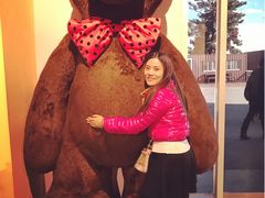 -济州岛泰迪熊博物馆