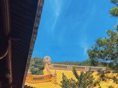 -普陀山慧济禅寺