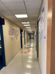 -杭州贝瑞斯美华妇儿医院·早孕·产检·儿科