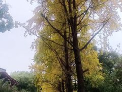 -怡心阁·水疗SPA(天府广场店)