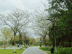 -海珠湖公园