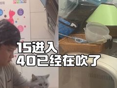 -帕帕拉兹宠物(亚洲旗舰店)