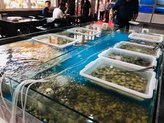 -一号码头蒸汽海鲜自助