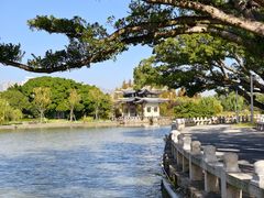 -江心屿景区