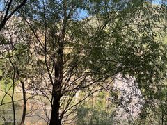 -灵溪风景区