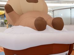 -深圳龙华星河COCO City(民治店)