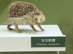 -国家自然博物馆