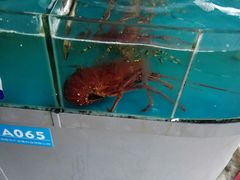 -清水湾3号(东方小周海鲜店)