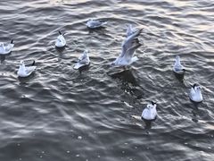 -天津东疆湾沙滩景区