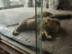 -南昌动物园