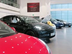 -TESLA 特斯拉(北京南四环中路特斯拉中心)
